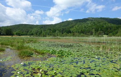 Vue du lac