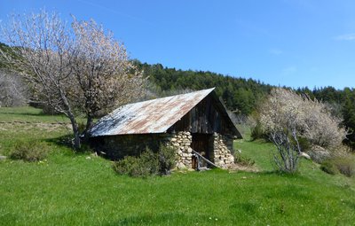 Grange d'altitude