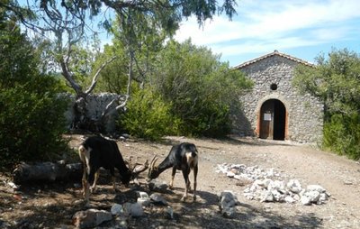 Chapelle Sainte-Maxime