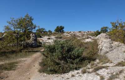 ENS des Mourres