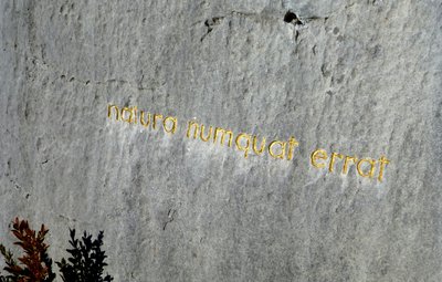 traces d'herman de vries