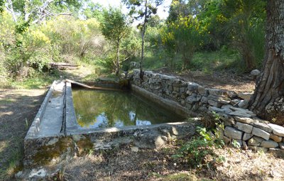 Source et bassin de Bellevue