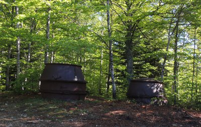 L'exploitation du charbon de bois