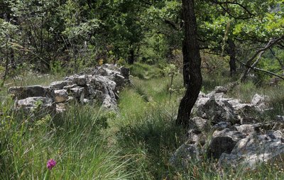 Chemin de l'eau salée