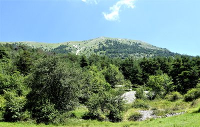 Le Carton depuis La Colle