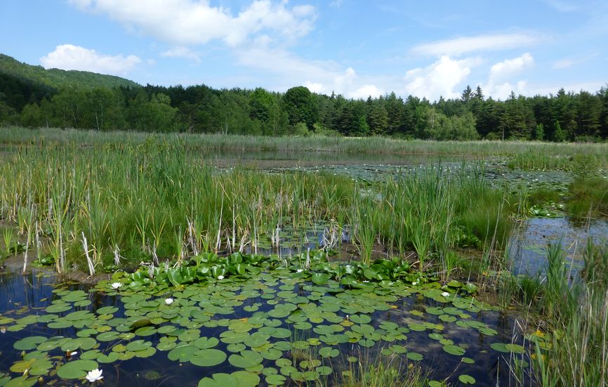 Lac de Saint Léger
