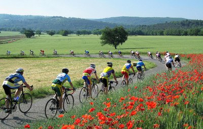 Plateau de Valensole