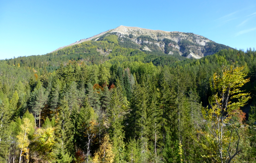 La forêt du Labouret