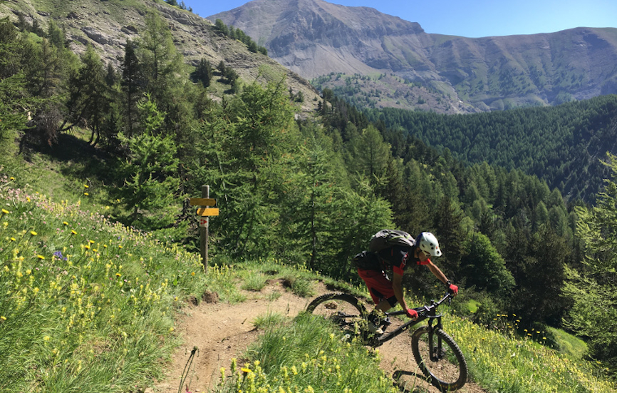 TransVerdon - Descente VTT depuis le col d'Allos