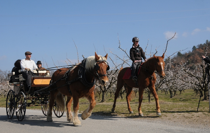 Route Napoléon à Cheval de Volonne à Sisteron