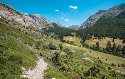 Vallon de Plate Lombarde