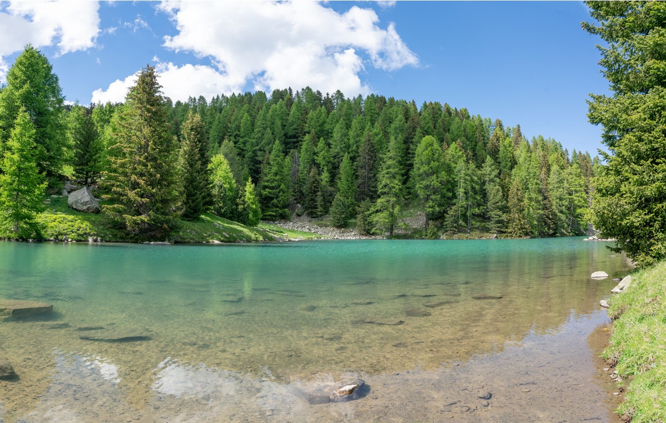 Lac de la Cabane