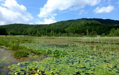 Lac de Saint-Léger