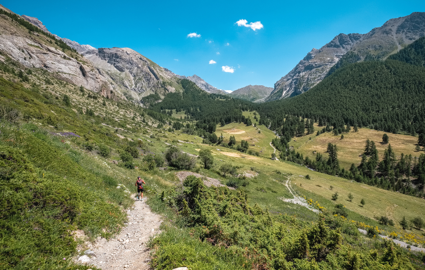 Vallon de Plate Lombarde