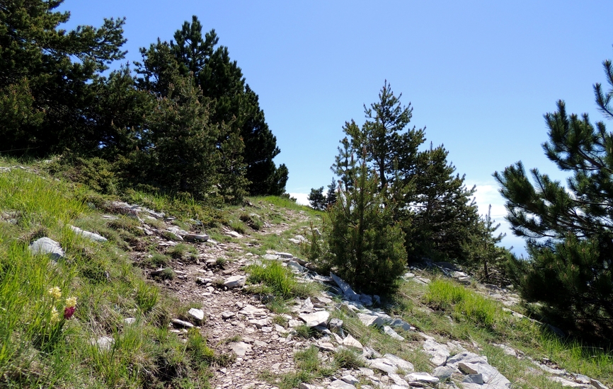 Sentier des Charbonnières de Lure