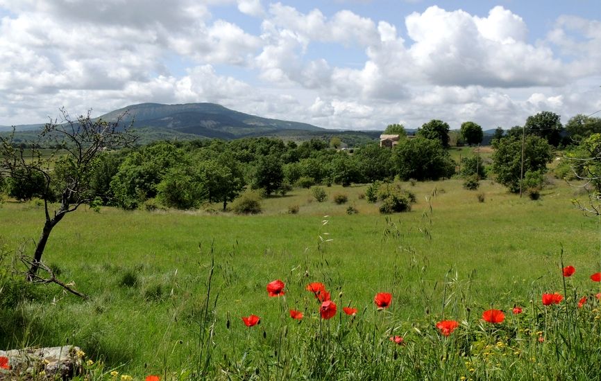 Sentier de Seigne