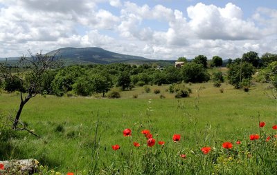 Sentier de Seigne