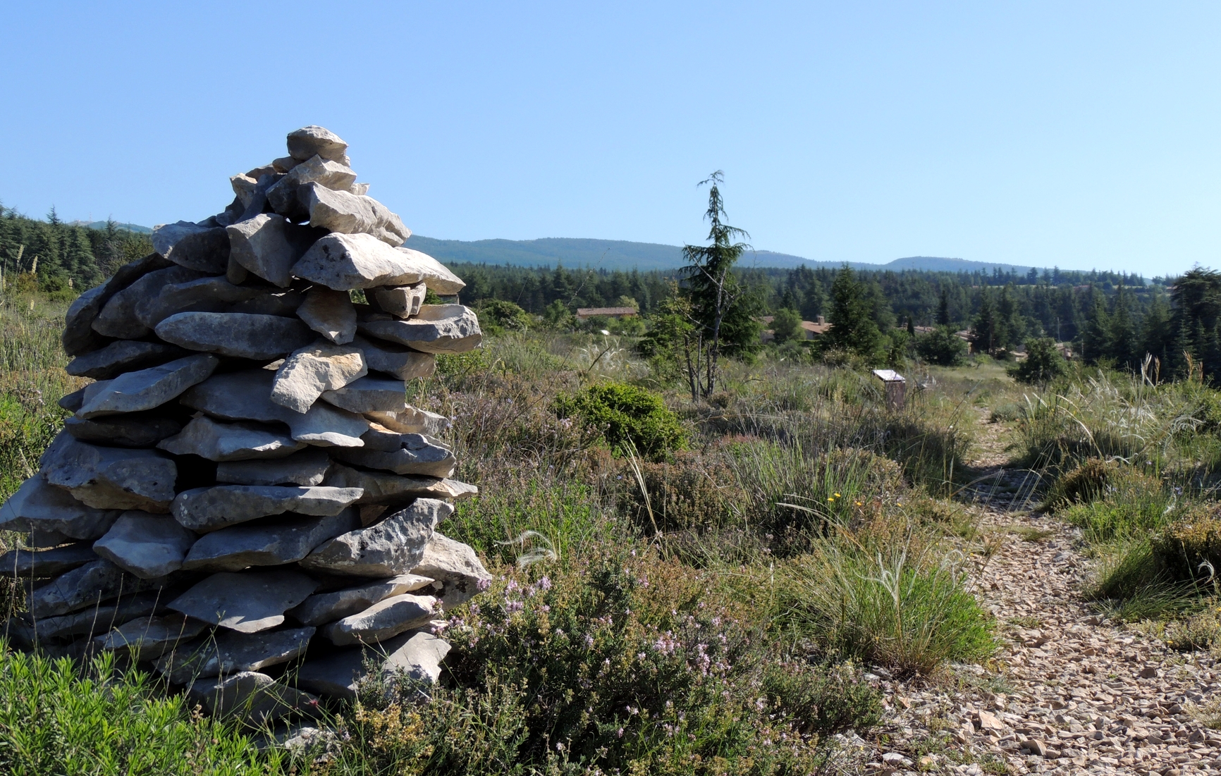 Chemin des graves