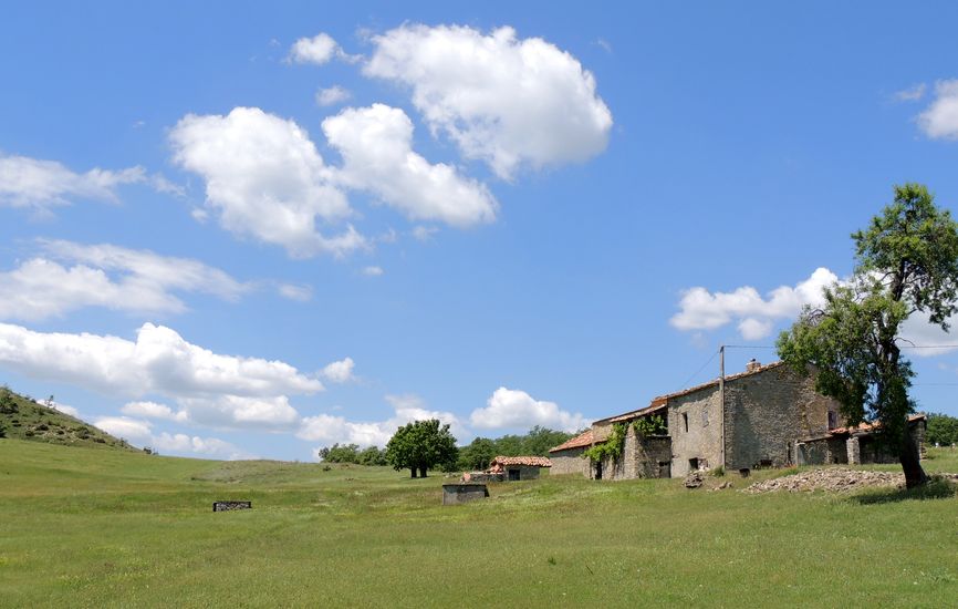 Les Guérins