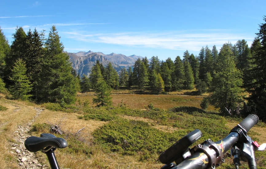 Tourbière du col Bas