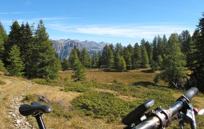 Tourbière du col Bas
