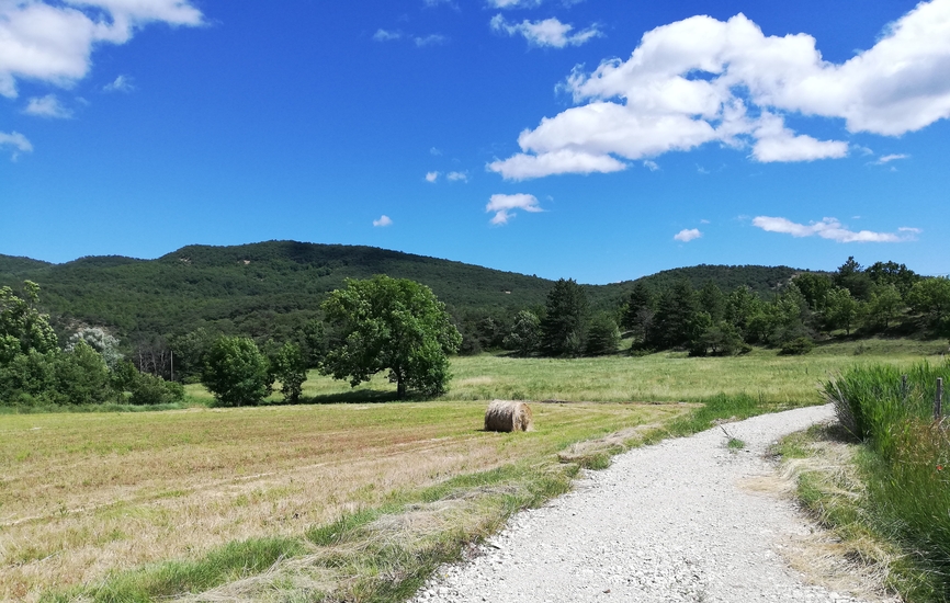 Plaine de Montlaux