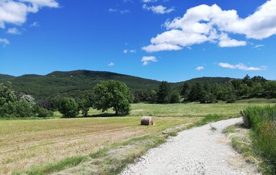 Plaine de Montlaux