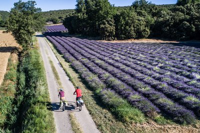 Apt-Forcalquier_Autour du Luberon