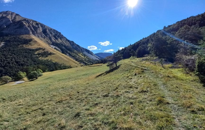 Pré de fauche
