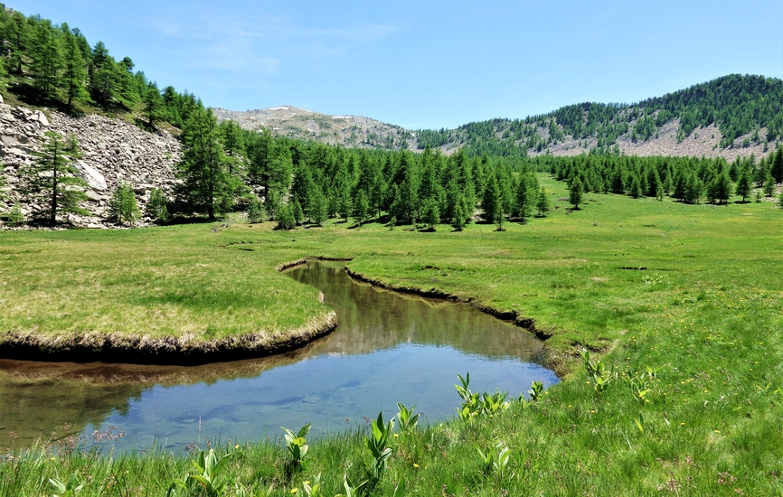 Serpentine du Lançonnet