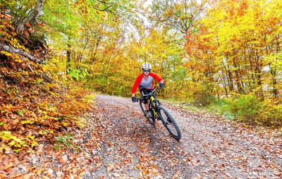 VTT en automne