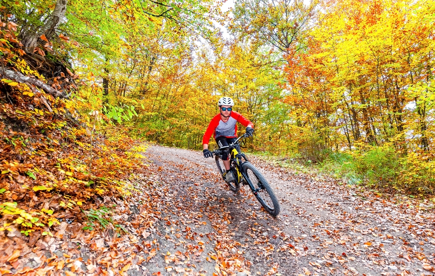 VTT sur piste forestière