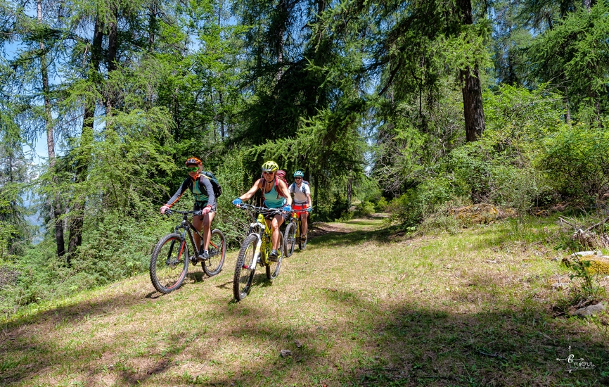 VTT sur piste forestière
