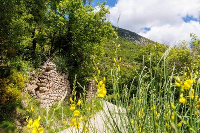 Vieux Village de Curel