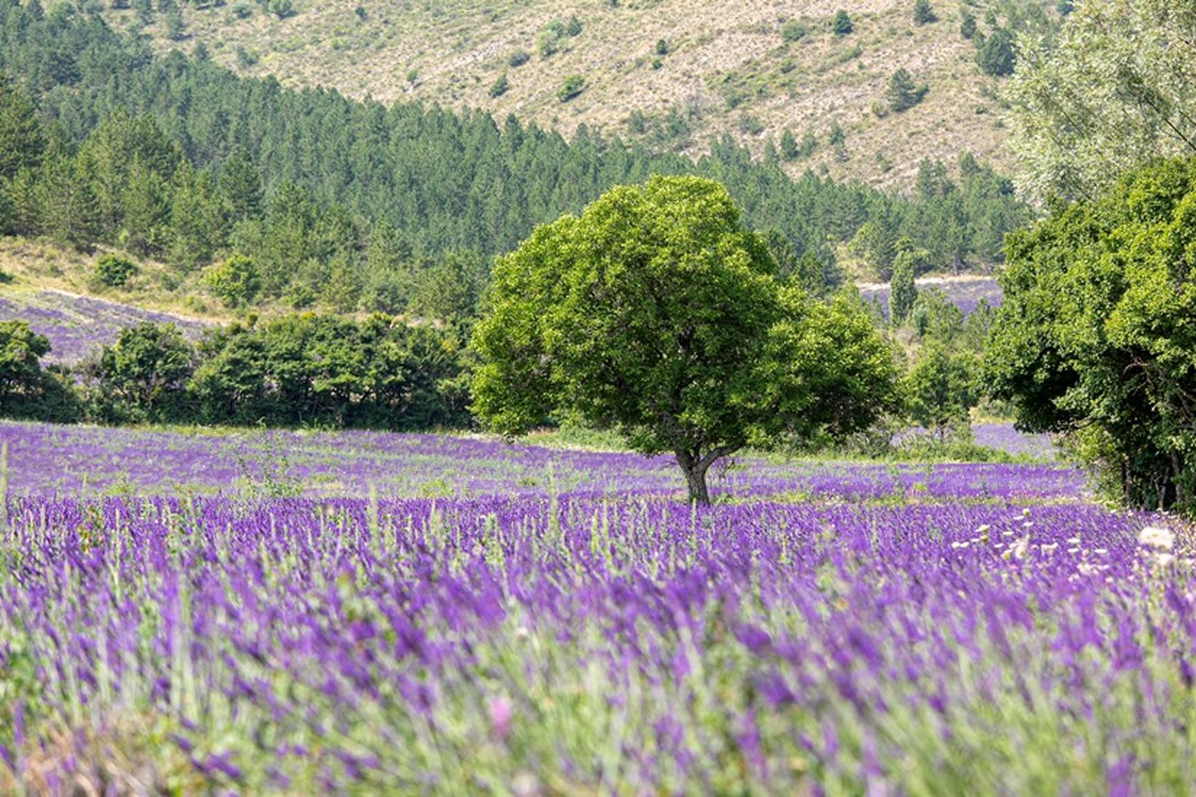 Sentier de la Biodiversité - CD04