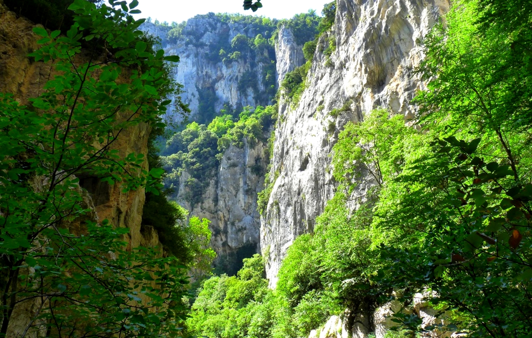 Gorges du Verdon