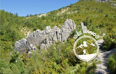 Saint-Jacques - Pied Marcellin