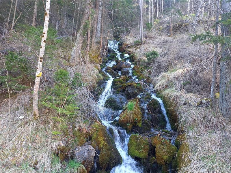 Torrent scierie hydraulique