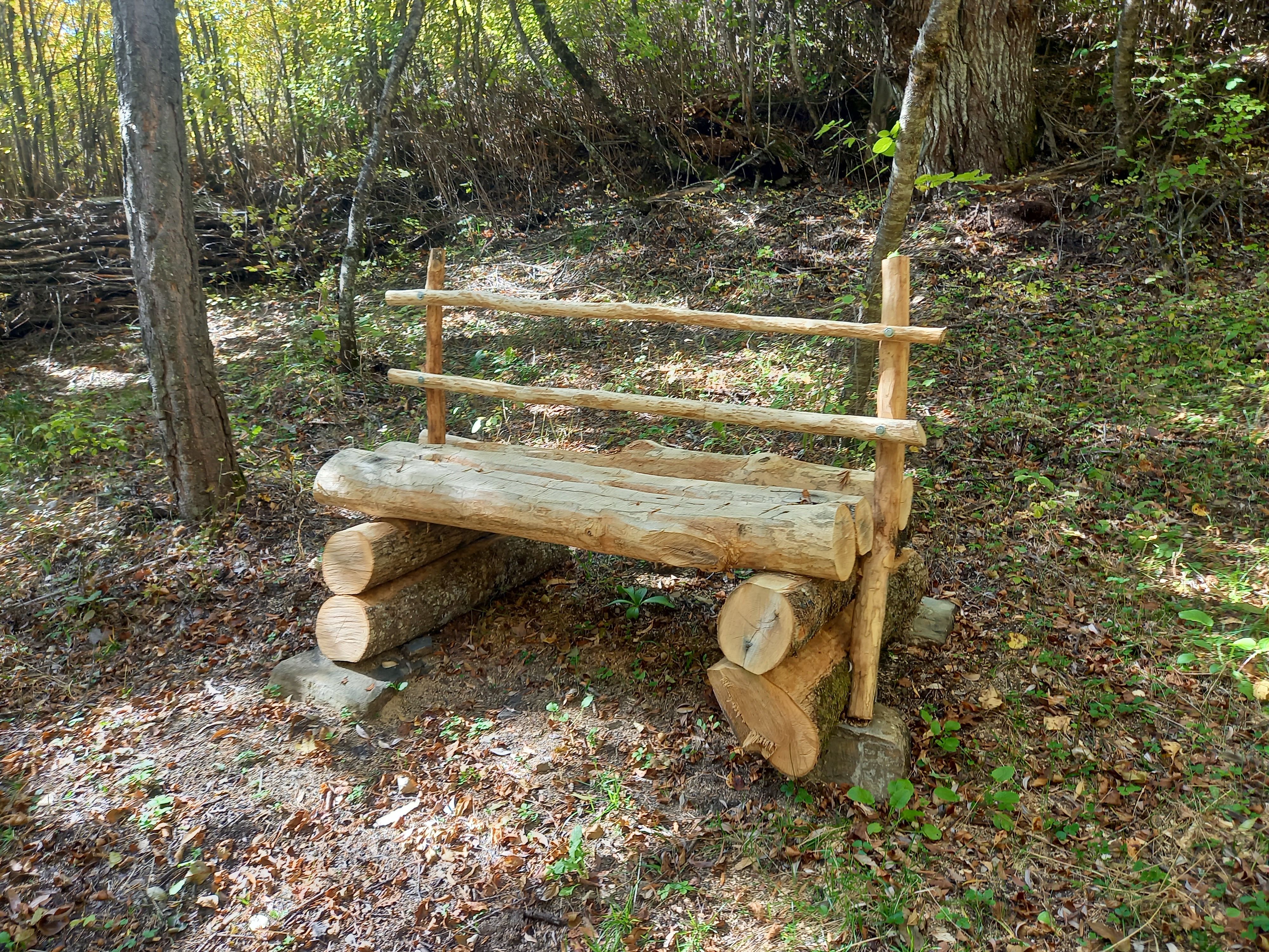 Banc en bois sur le parcours