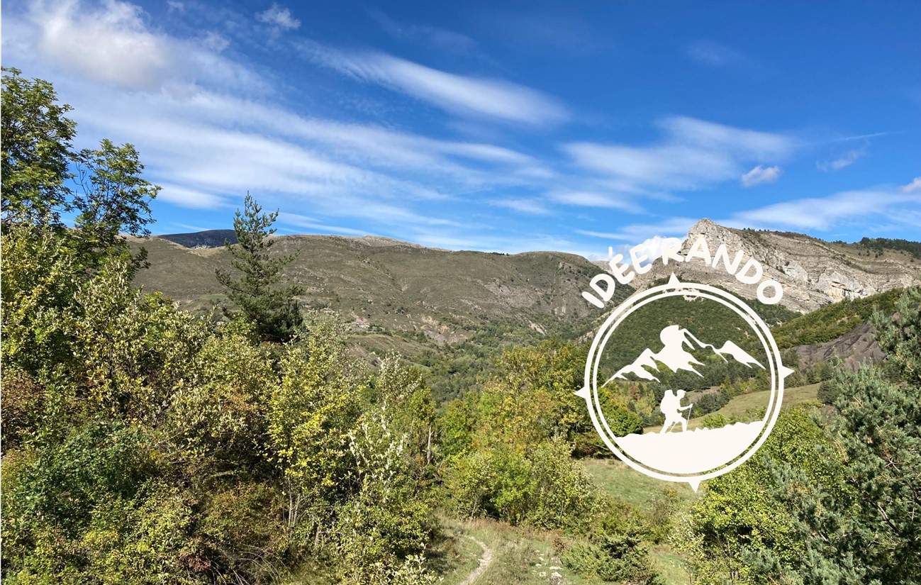 Vue sur la forêt d'Authon