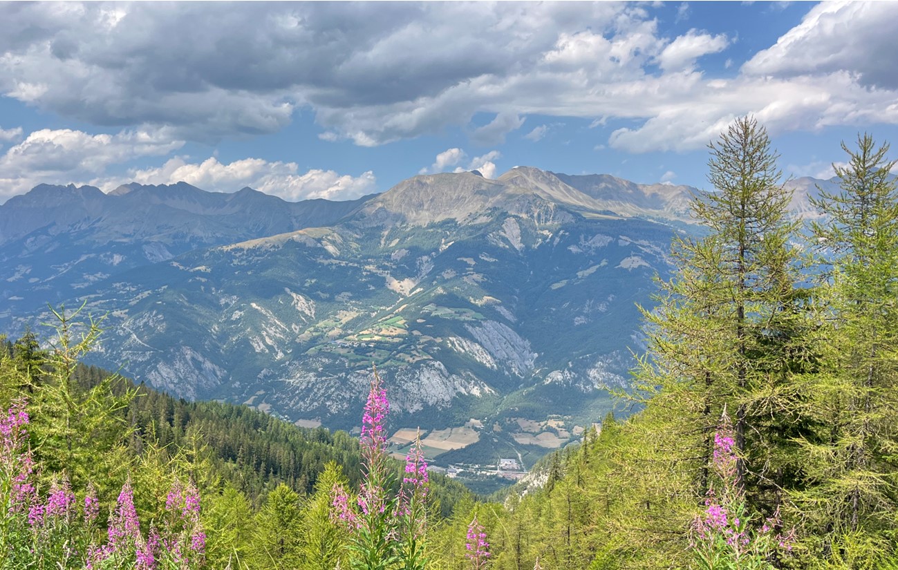Vallée de l'Ubaye