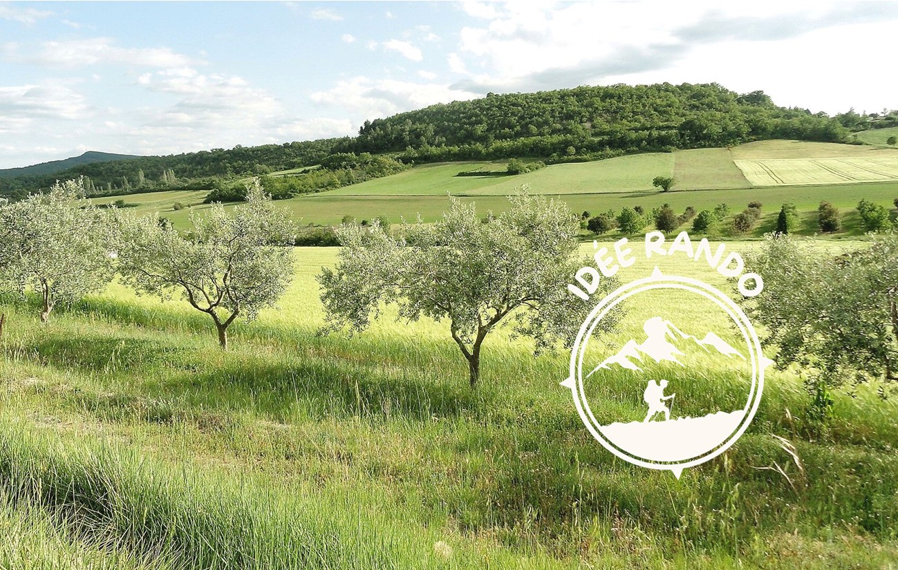 Le Roure
