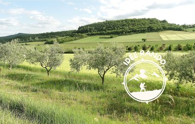 Le Roure